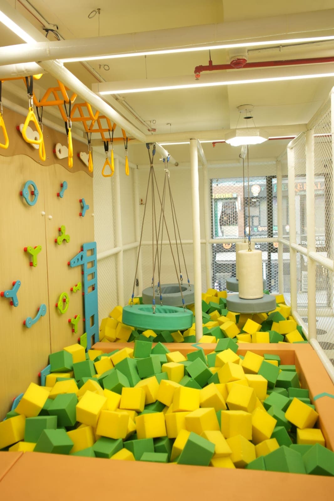 Foam Pit & Swings